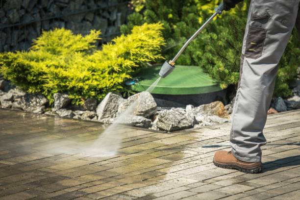 Best Solar Panel Cleaning  in Johnson City, NY