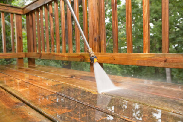Best Pool Deck Cleaning  in Johnson City, NY